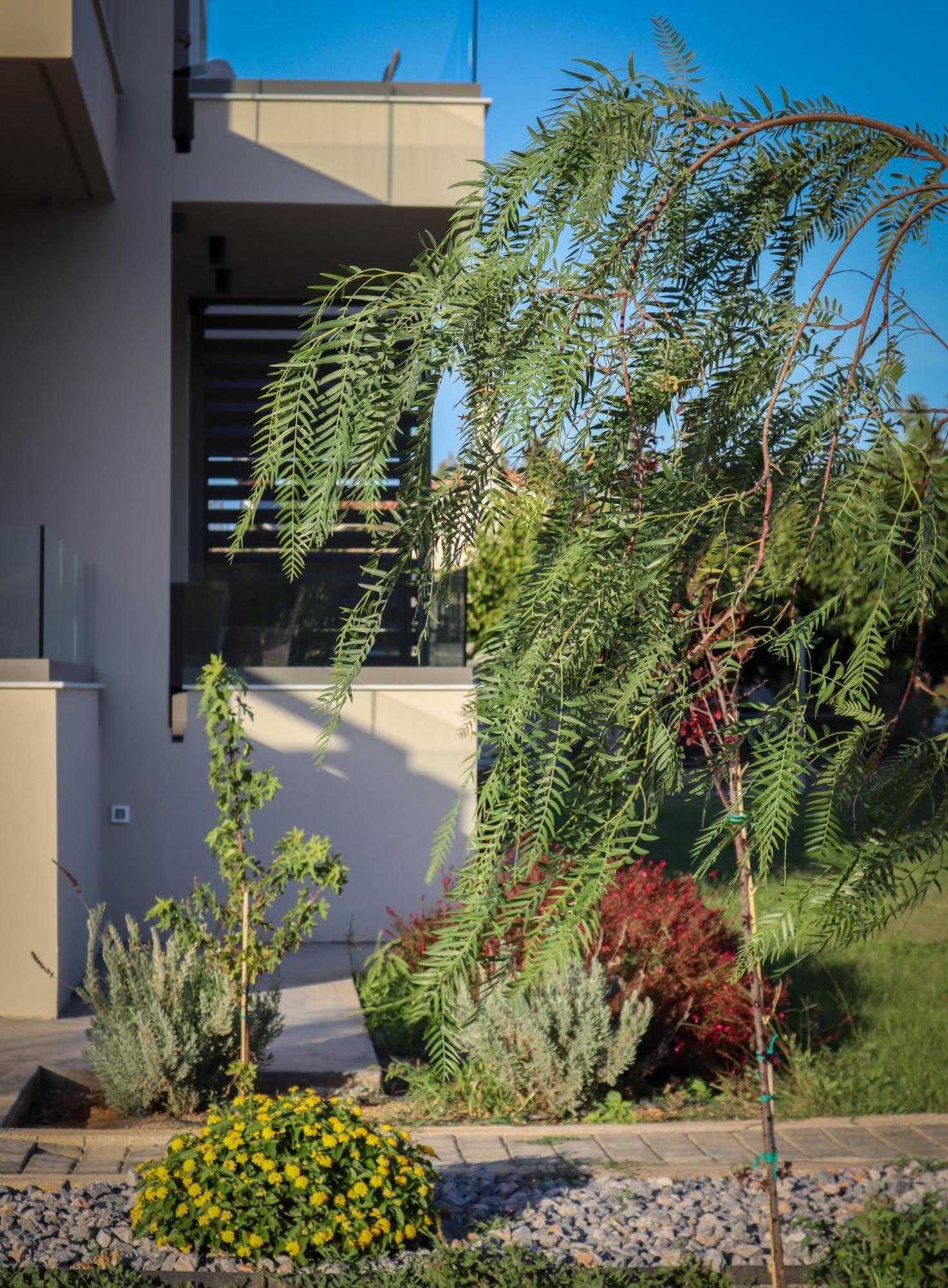 Almyres Luxurious Residences Miloi  Exterior photo